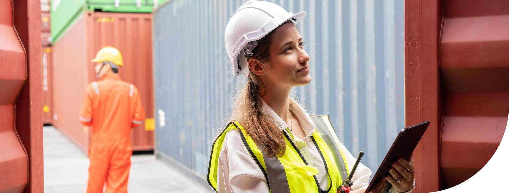 AI Agents for Customs Risk Management